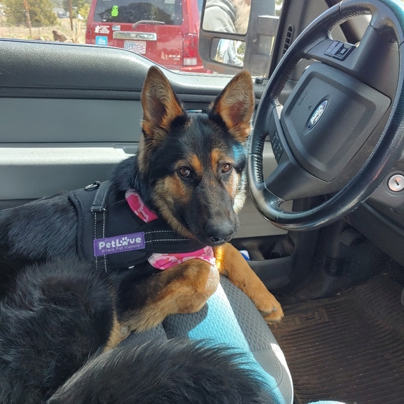 Meet your Posher, Victoria - Picture 15 of 16